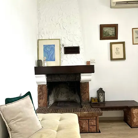 Kamelija * Budva