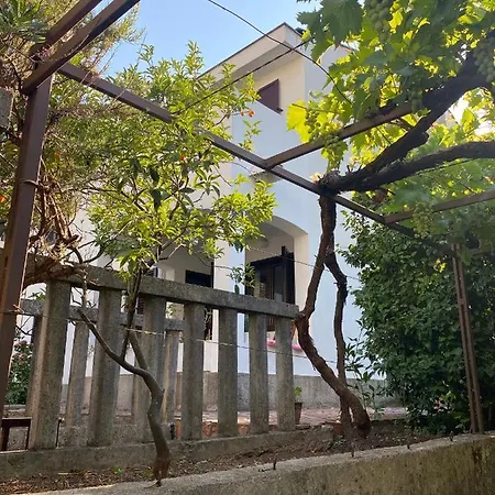 Vikendica Kamelija Budva
